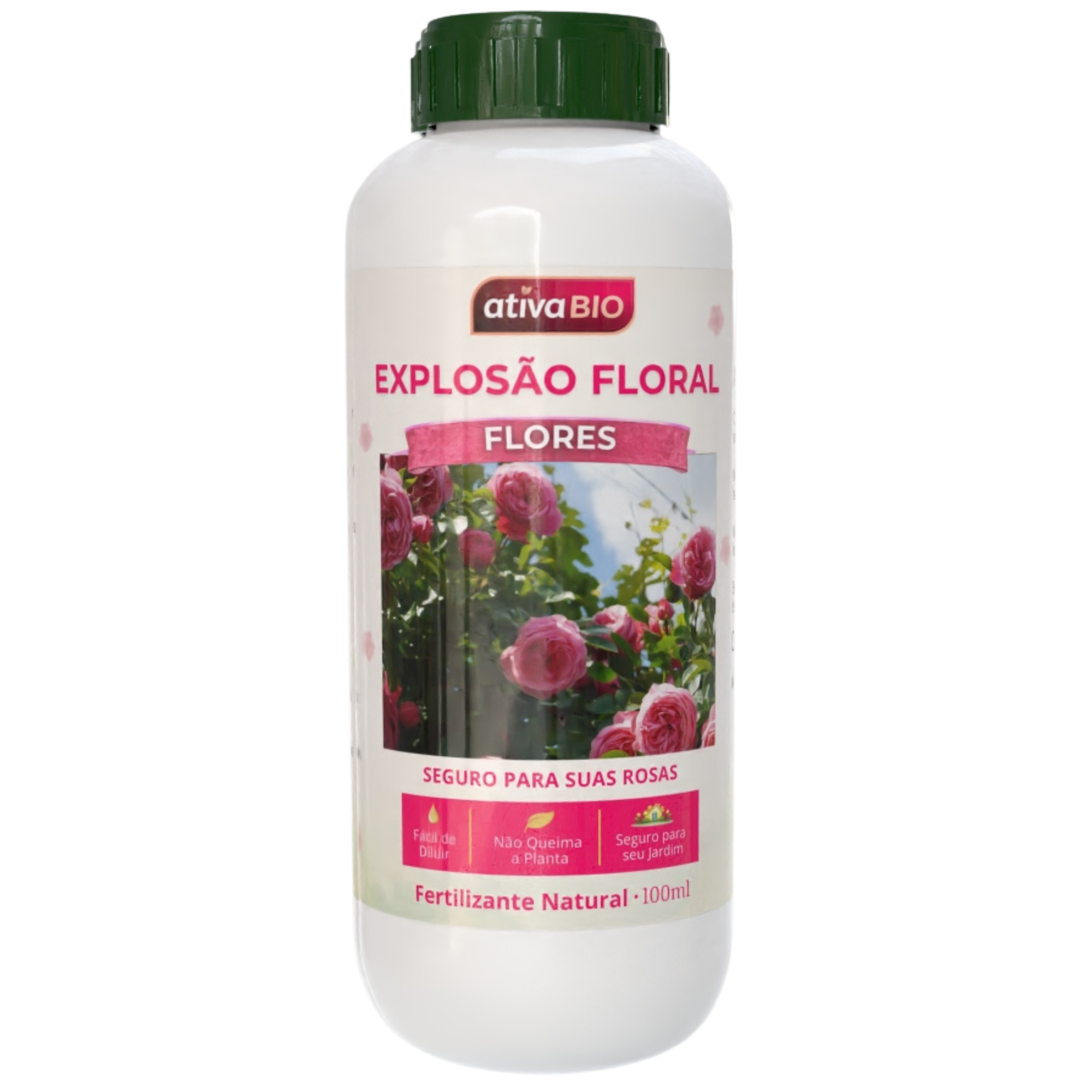 Flores: Explosão Floral