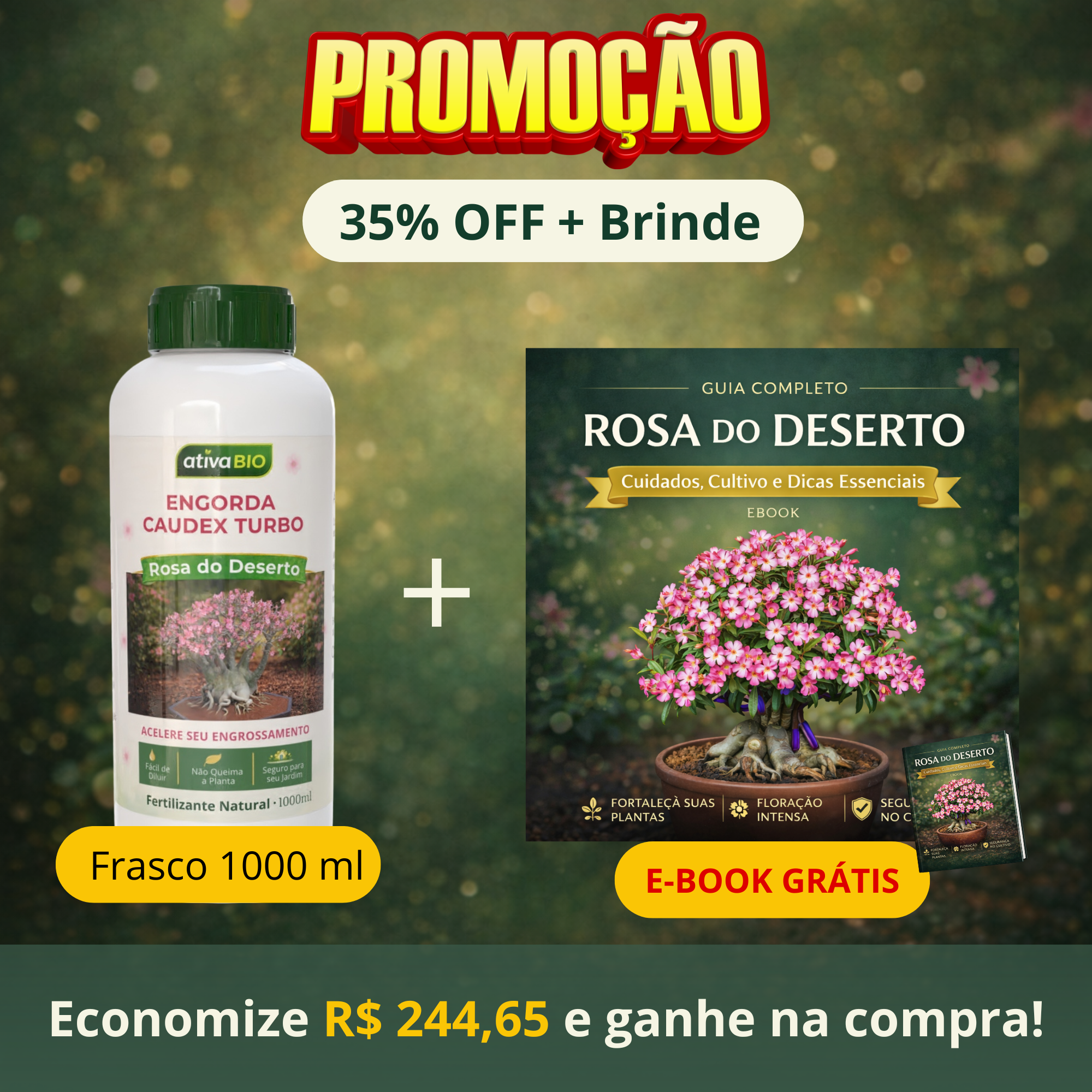 Rosa do Deserto: Engorda Caudex Turbo