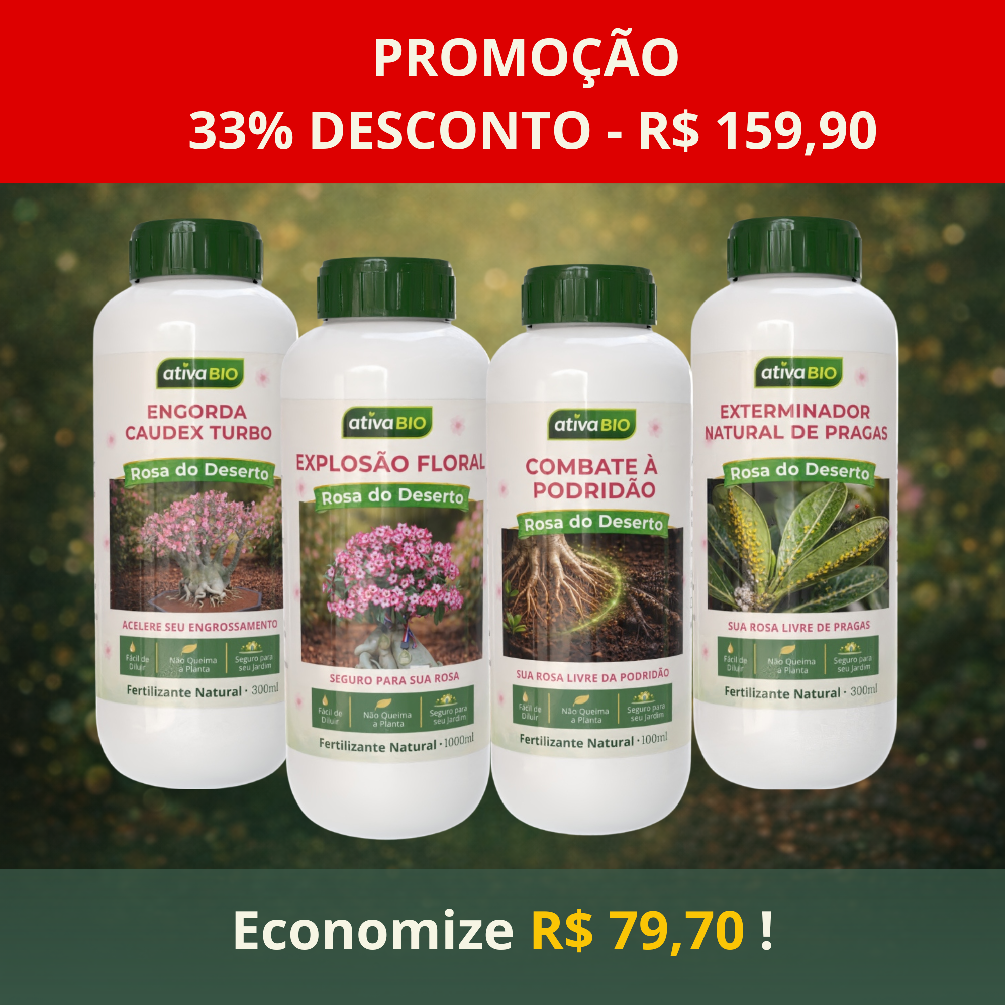 Rosa do Deserto - Kit Completo