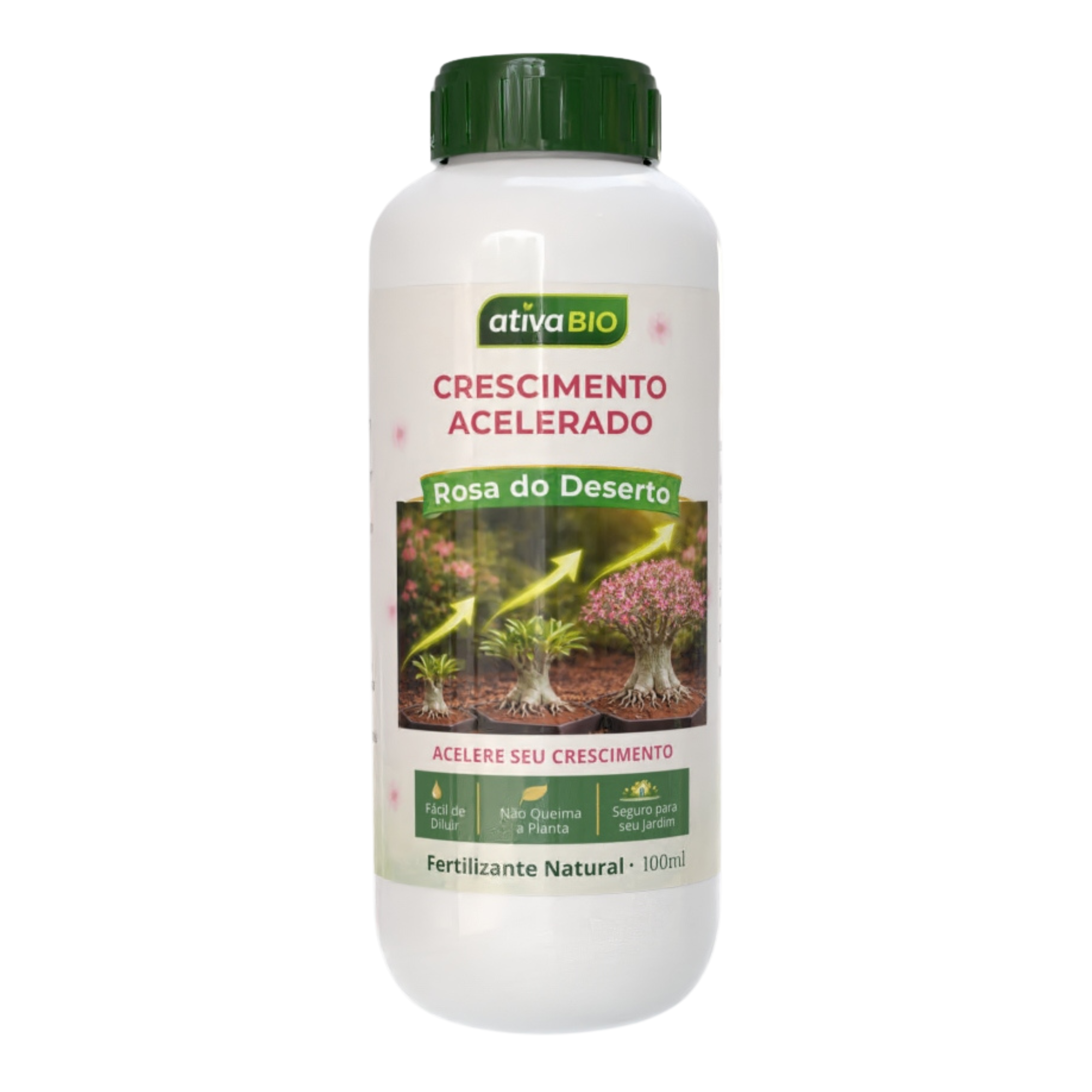 Rosa do Deserto: Crescimento Acelerado