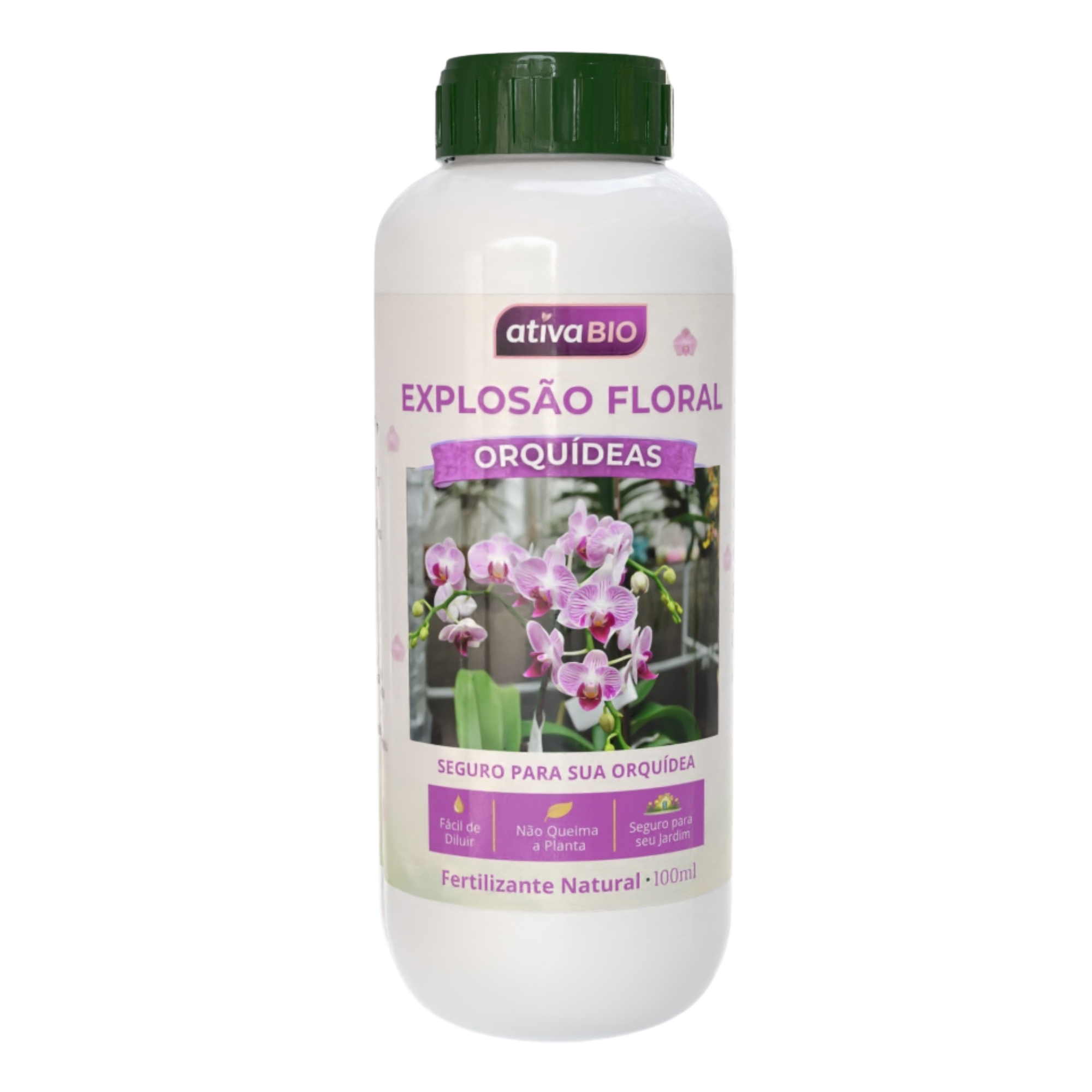 Orquídea: Explosão Floral