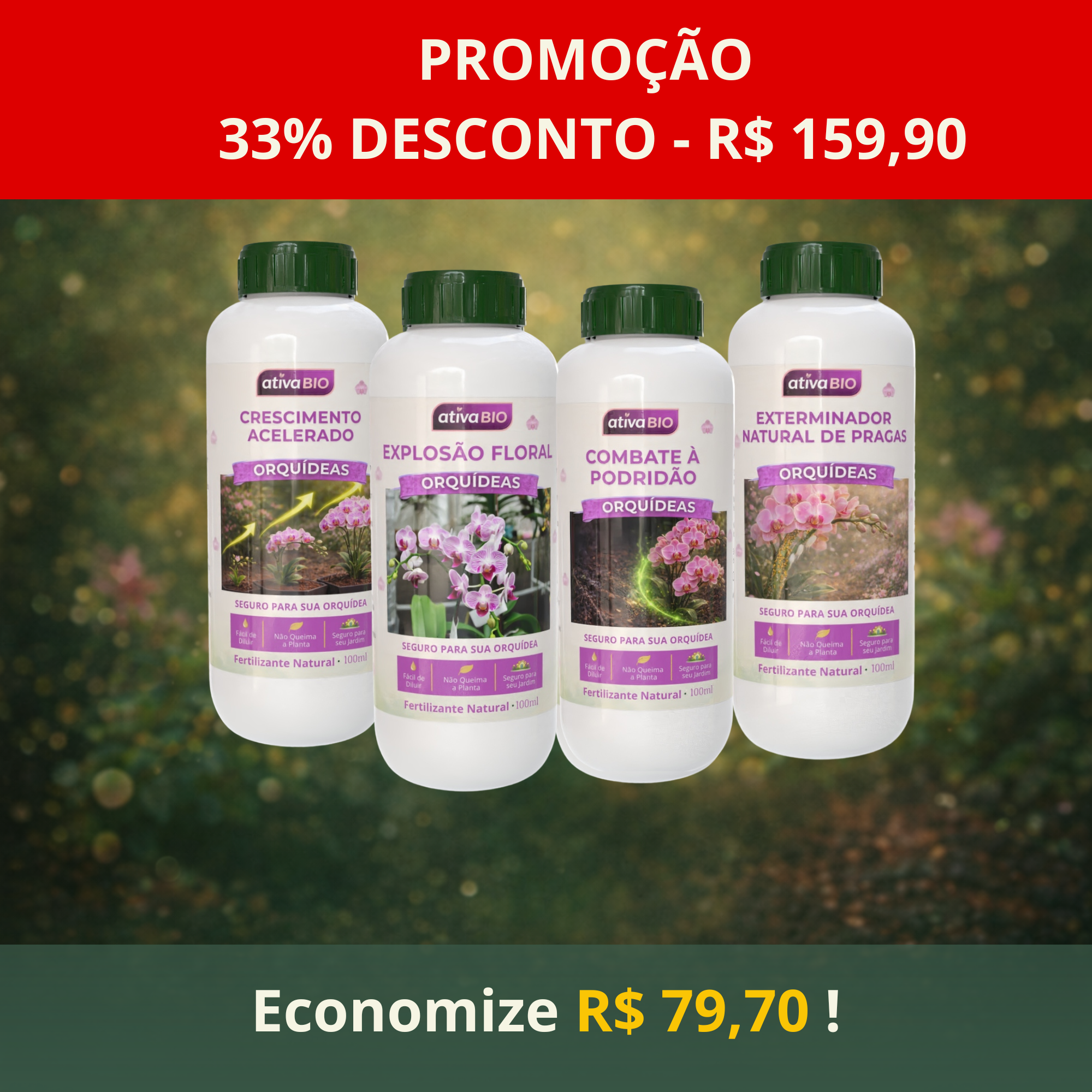 Orquídea - Kit Completo
