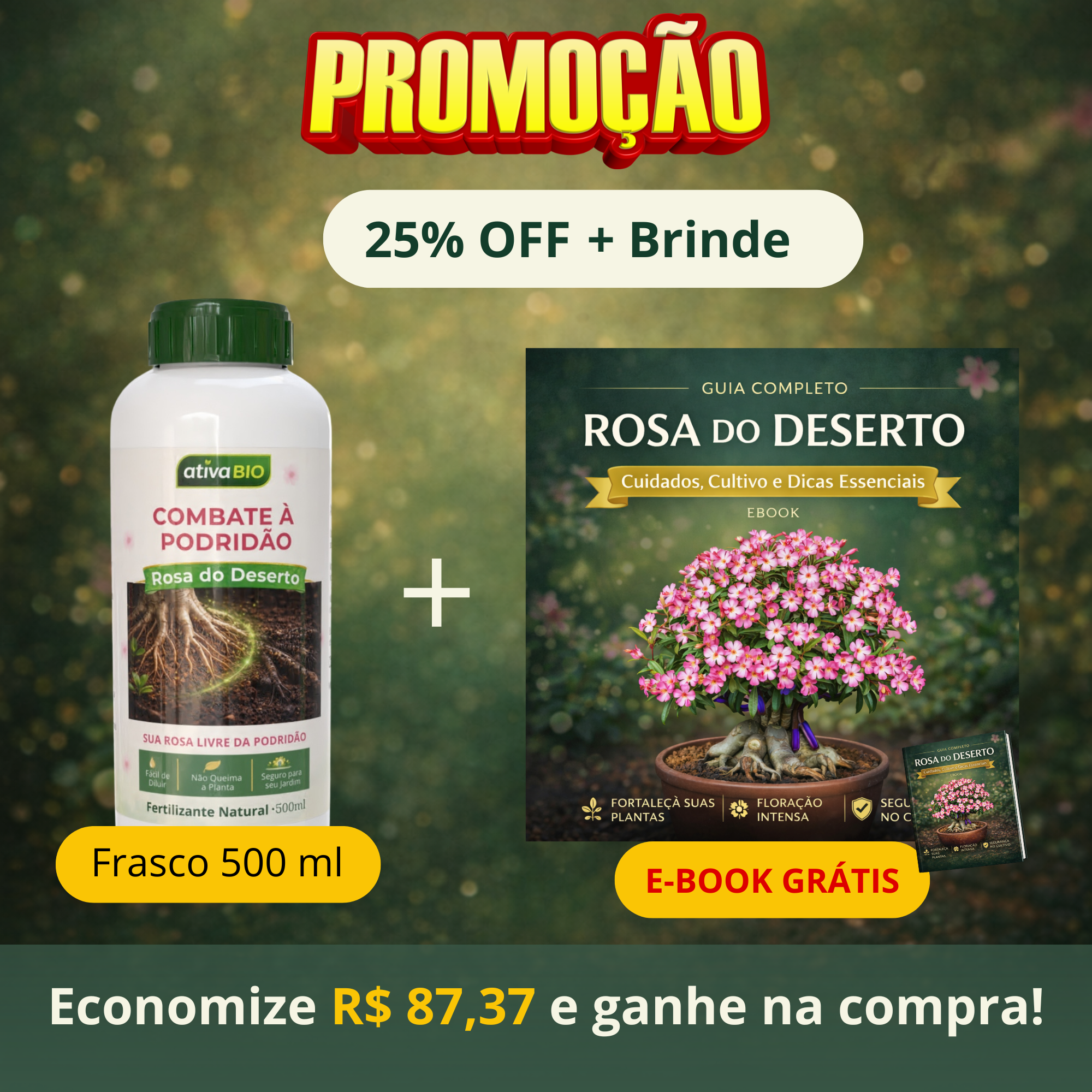 Rosa do Deserto: Combate à Podridão