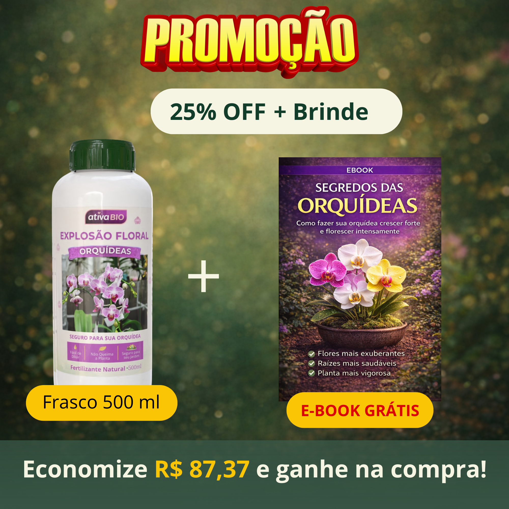 Orquídea: Explosão Floral
