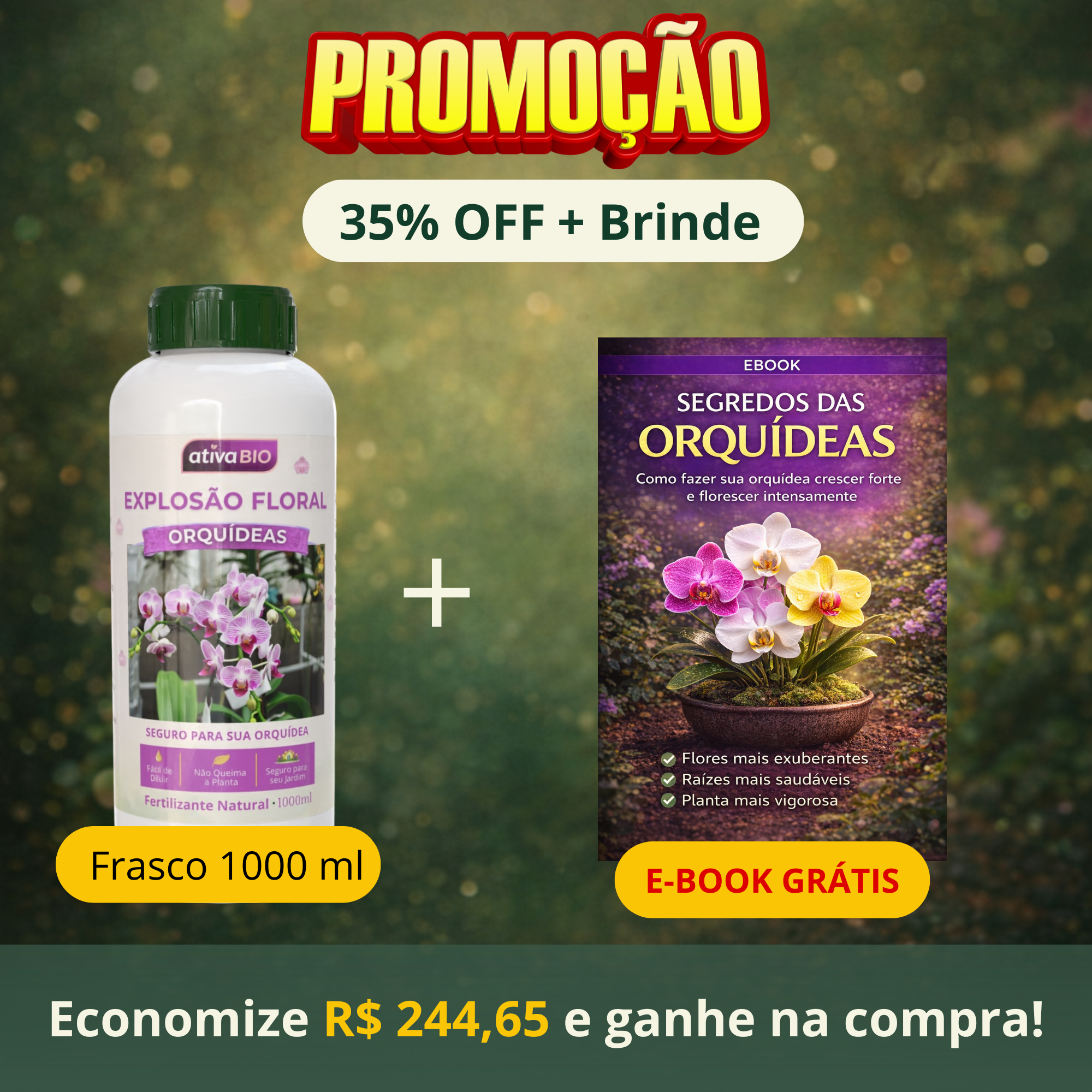 Orquídea: Explosão Floral