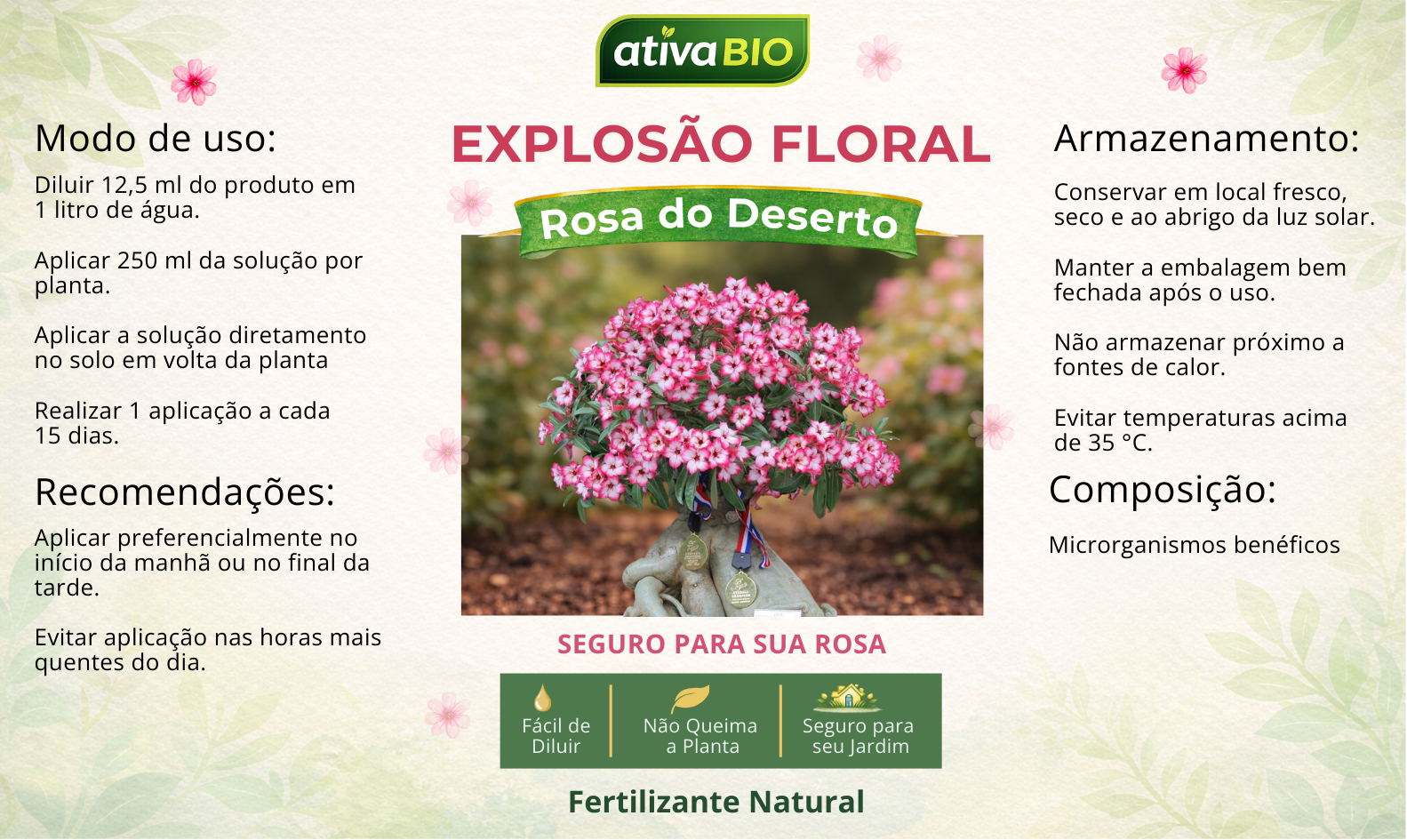 Rosa do Deserto - Kit Completo